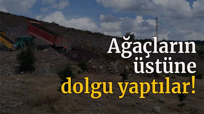 Ağaçların üstüne dolgu yaptılar!